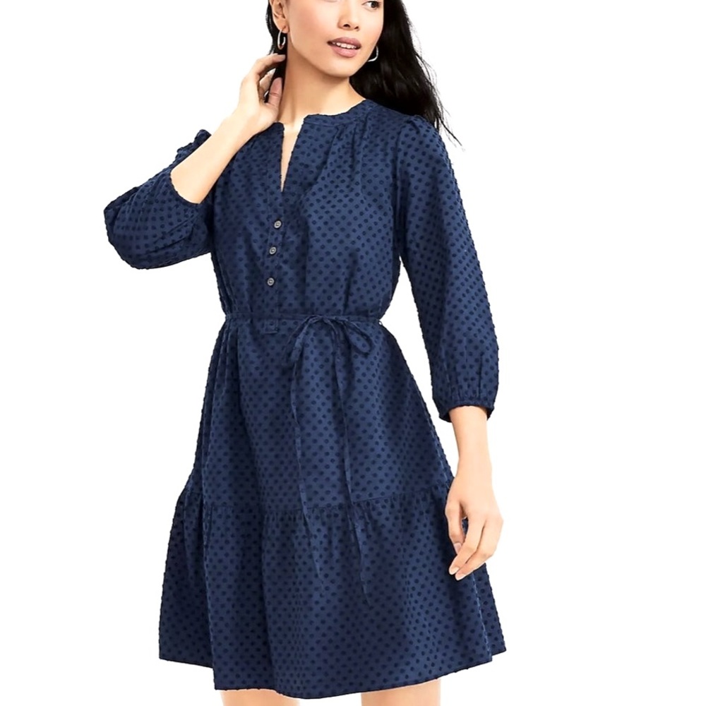 LOFT Dress